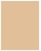 Actual product image Sisley SisleÃ¿a Le Teint (2N Ivory Beige)
