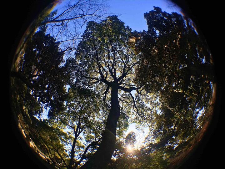 Produktbild Kenko Real Pro 180° Fisheye