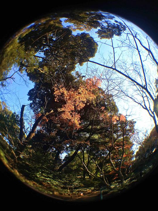 Produktbild Kenko Real Pro 180° Fisheye