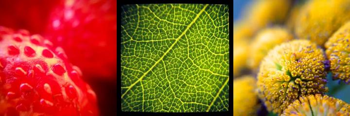 Immagine prodotto Kenko Real Pro 0.65x Wide/Macro