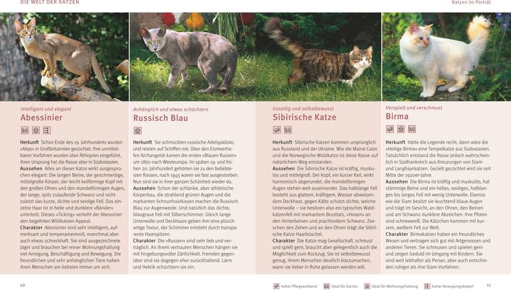 Actual product image Katzen (German, Brigitte Eilert-Overbeck, 2016)