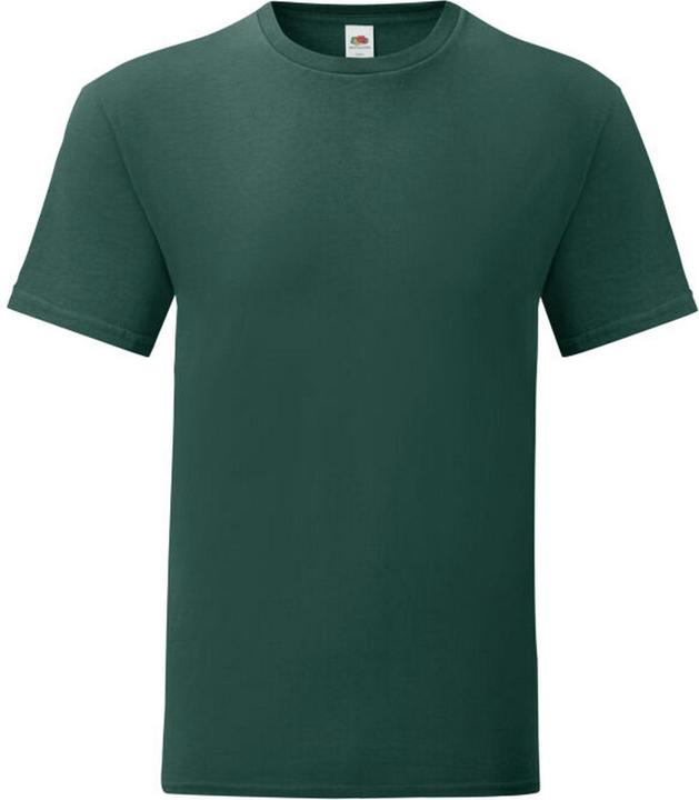 Fruit of the Loom Iconic 150 TShirt (L)