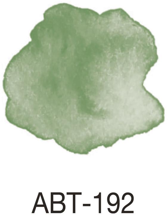 Immagine prodotto Tombow ABT Dual Brush Pen (Verde, 1 x)