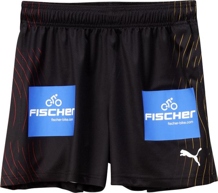 Puma DHB Shorts W with Sponsor (L)
