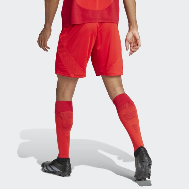 Actual product image adidas FC Bayern Munich Shorts (M)