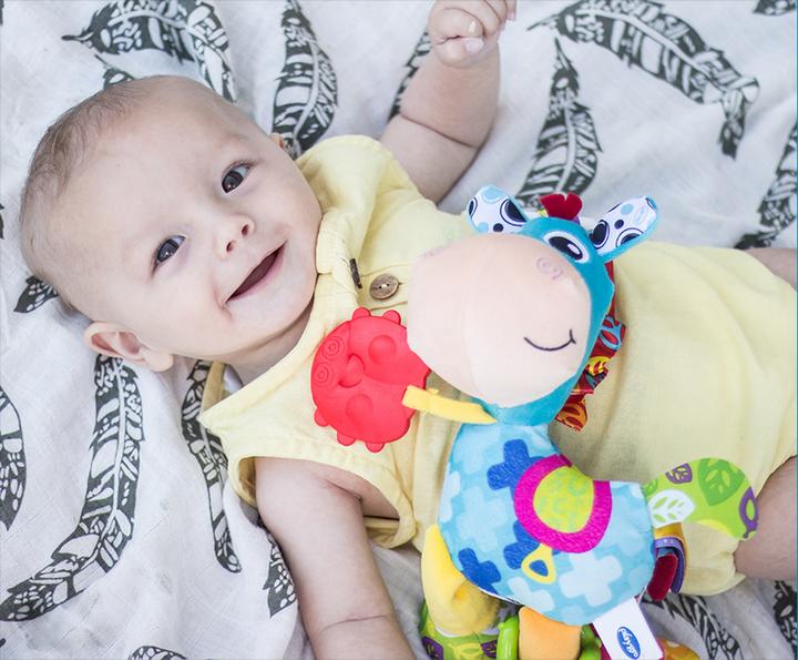 Actual product image Playgro Plush horse