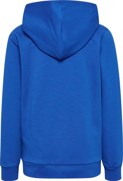 Actual product image hummel hmlCUATRO HOODIE (122)