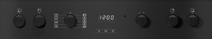 Actual product image Miele H 2456-60 EP ACTIVE