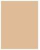Actual product image Rimmel London Kind & Free Blur It Out Mattifying Skin Tint (150 Rose Vanilla)