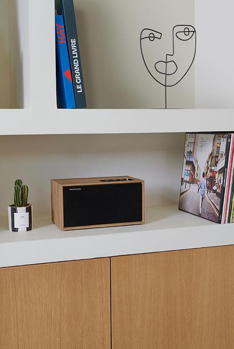 Actual product image Thomson WS502 - Compacte Multimedia Speaker - Hout (Electrical connection)