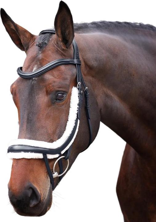 Immagine prodotto Velociti Rapida, foderato in pile e in pelle, è un archetto da naso curvo per cavalli.