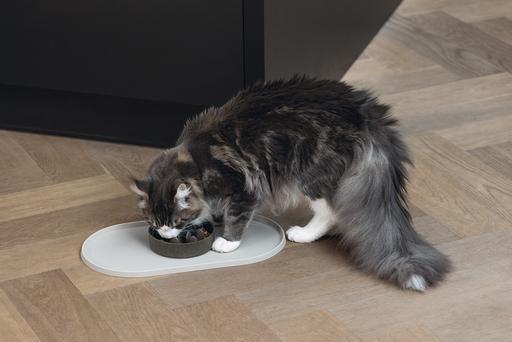 Productafbeelding Designed by Lotte Anti-knaagkom kat Pom (0.41 l)