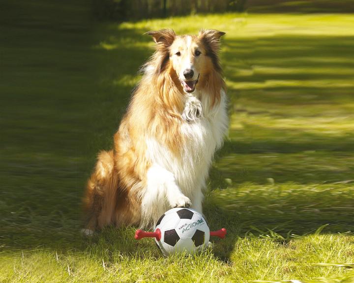 Produktbild Karlie Action Ball - Fussball mit Gummigriffen (Ballspielzeug Hund)