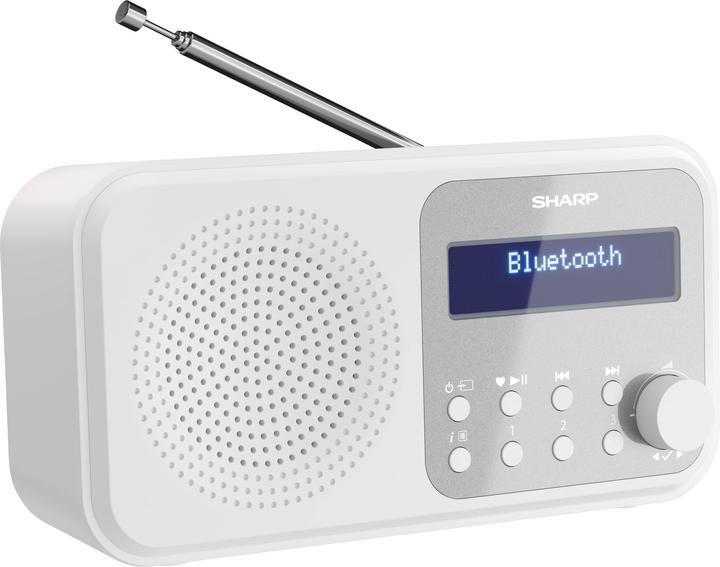 Sharp DR-P420 (DAB+, FM, DAB, Bluetooth)