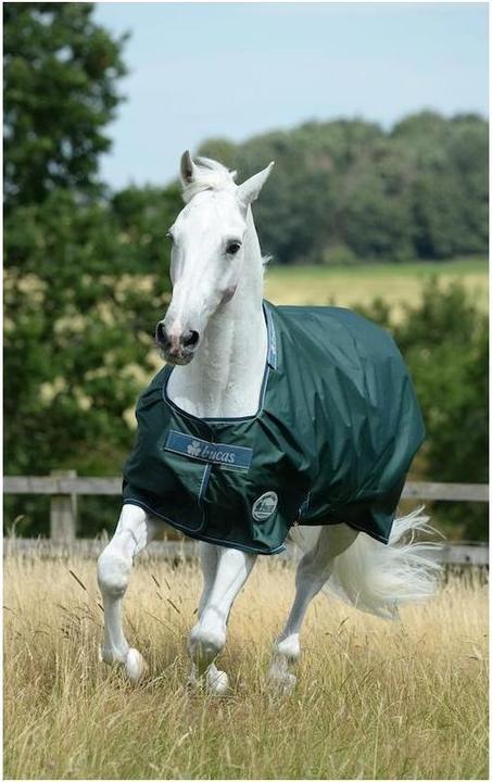Produktbild Bucas Weidedecke Green-Line Turnout 100g