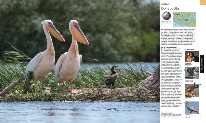 Produktbild Vögel (Deutsch, Hans W. Kothe, Eva Sixt, Dr. Andrea Kamphuis, Andreas Held, 2022)