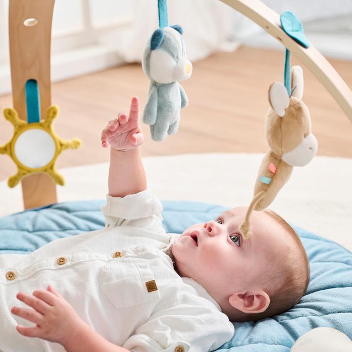 Image du produit Nattou Félix et Léo avec arches