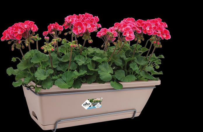 Actual product image Elho Barcelona Allin (28 cm)
