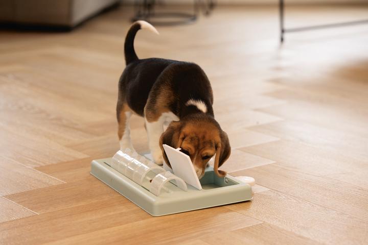 Immagine prodotto Beeztees Reef (Intelligenza cane toy)