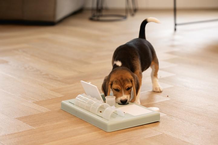 Immagine prodotto Beeztees Reef (Intelligenza cane toy)