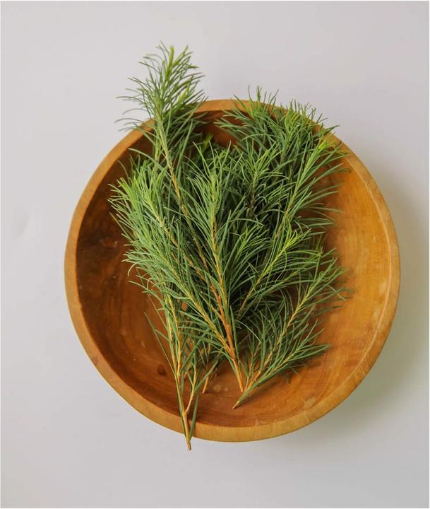 Actual product image Aromatica Tea Tree Balancing Foaming Cleanser (Foam)