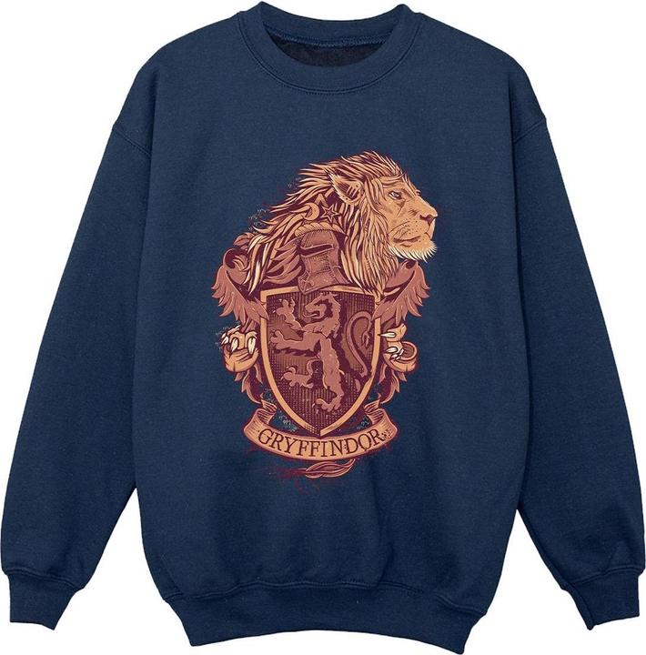 Produktbild Gryffindor Sketch Crest Sweatshirt Jungen (140, 146)