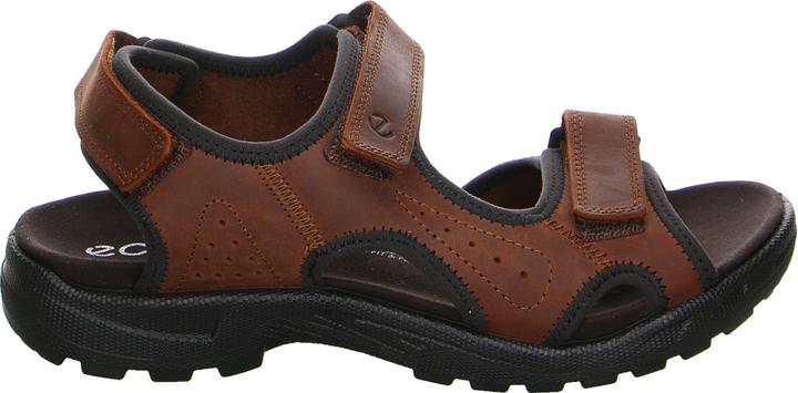 Produktbild Ecco Hike M (48)