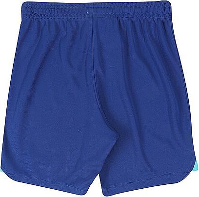 Actual product image Nike Chelsea FC Kids Shorts (XL)