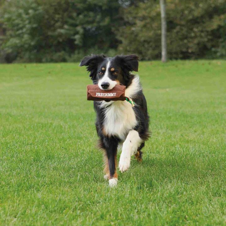 Actual product image Trixie Preydummy (Retrieval, Litter toy dog)