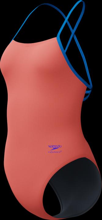Neon Coral-Lagoon Blue