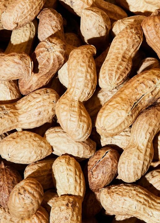 Produktbild KoRo Bio Erdnüsse in der Schale, geröstet (1000 g)