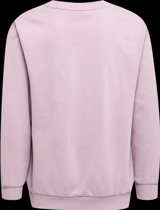 Image du produit hummel hmlCLOUD TRACKSUIT (146)