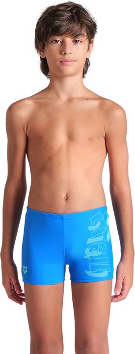 Arena B Tales Swim Short