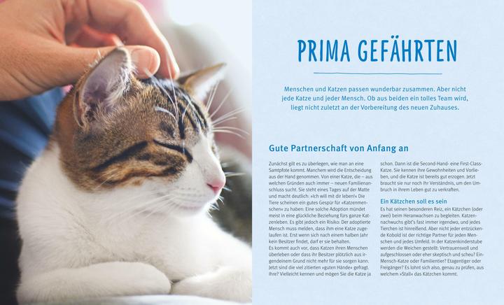 Actual product image Katzen (German, Brigitte Eilert-Overbeck, 2016)