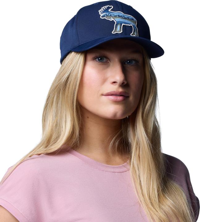 Actual product image Columbia Lost Lager 110 Snap Back (One size)