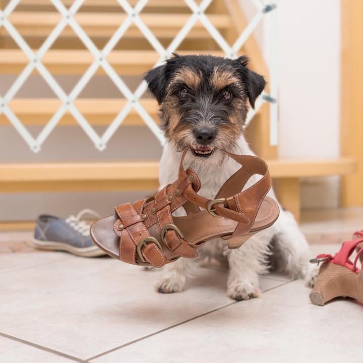 Actual product image Relaxdays Dog barrier (3 cm)