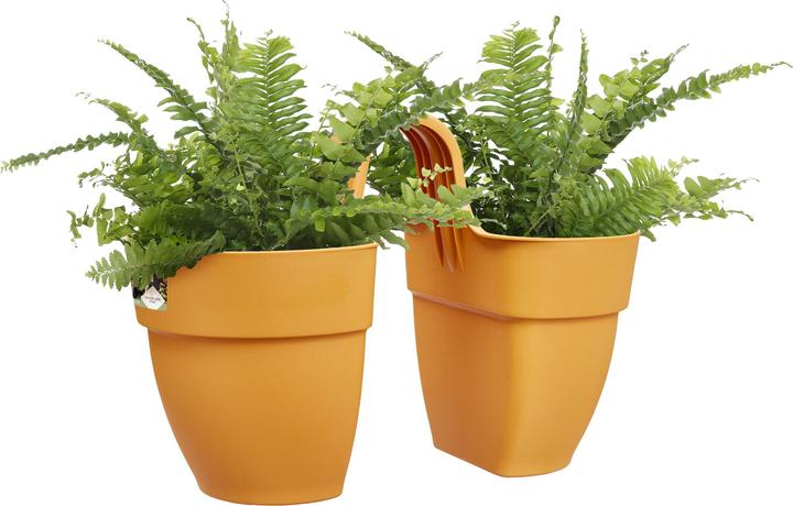Produktbild Elho Vibia Campana Flower Twin (210 cm)