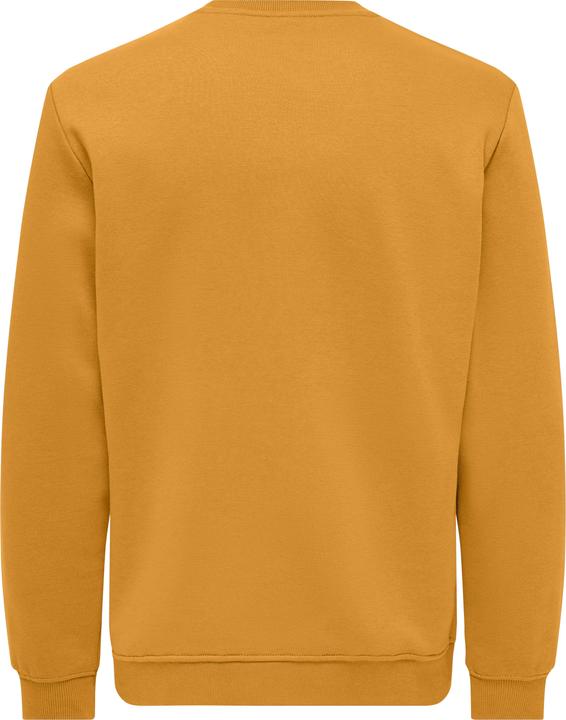 Image du produit Only & Sons Onsconnor Reg Crew Neck Sweat Noos (XL)