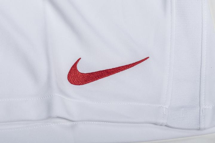 Actual product image Nike Turkey EM Shorts (M)