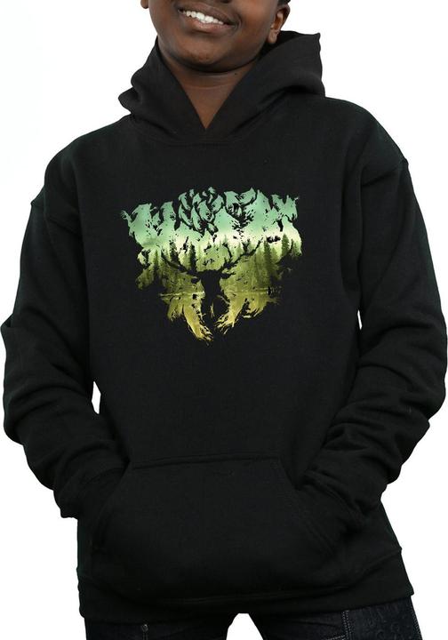 Produktbild Magical Forest Kapuzenpullover Jungen (140, 146)
