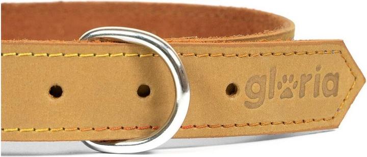 Image du produit Gloria Collier pour chien Oasis Jaune 55 cm (55 x 2,5 cm) (Cuir)