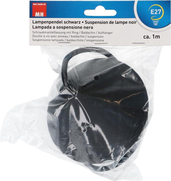Max Hauri Suspension de lampe E27
