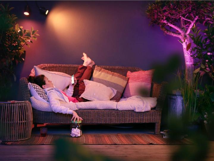 Actual product image Philips Hue Lily Basic Set (DE Plug) (640 lm, IP65)