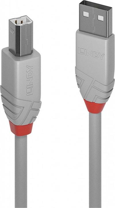 Actual product image Lindy USB A - USB B (1 m, USB 2.0)