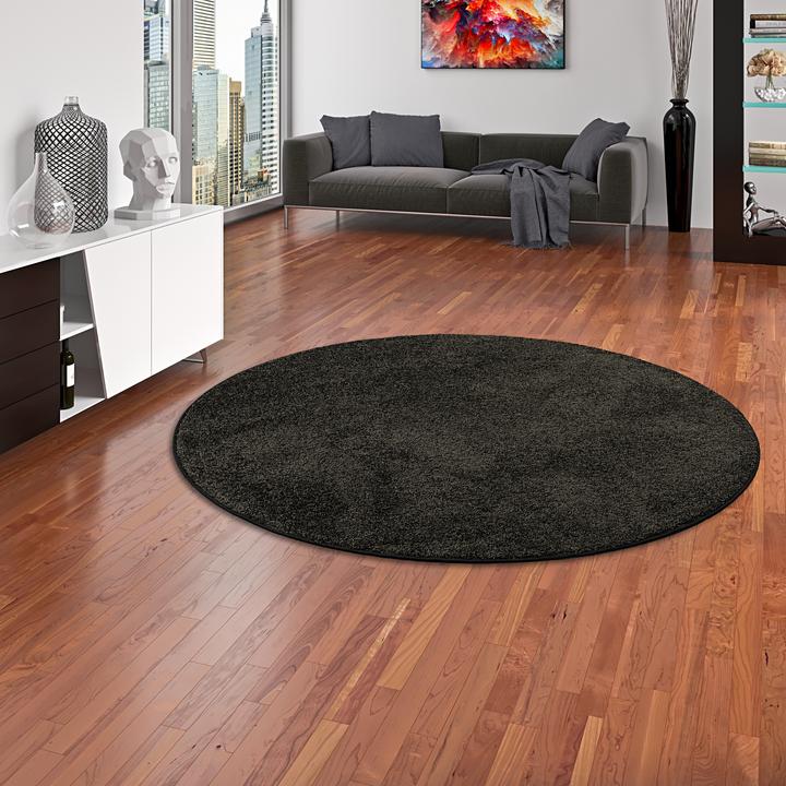 Produktbild Snapstyle Hochflor Velours Teppich Mona (Ø 160 cm)