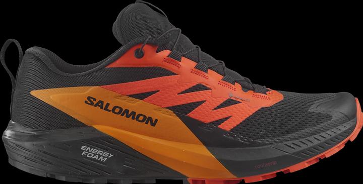 Salomon Sense Ride 5 GTX Herren Trailrunningschuhe