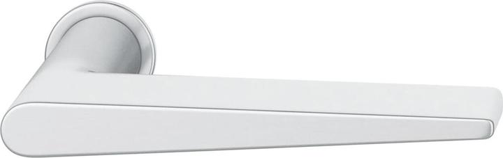 FSB Push-in handle 15 1005 on mini rosette, door thickness 39-48 mm, matt stainless steel (Door handle)