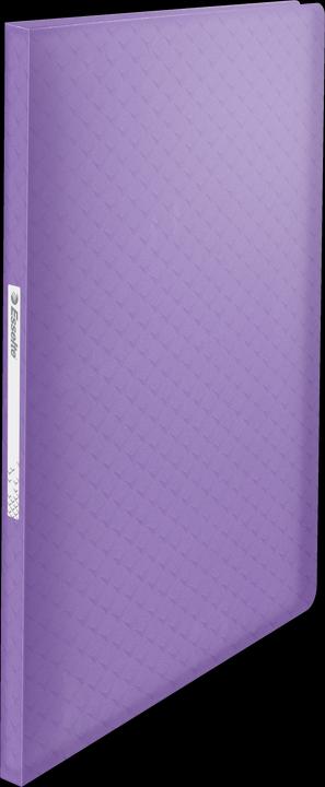 Actual product image Esselte Display Book Colour'Breeze (A4, 1 x)