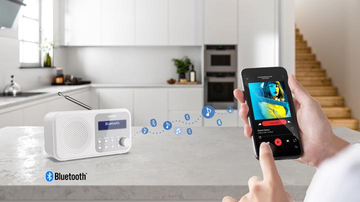 Immagine prodotto Sharp DR-P420 (DAB, FM, Bluetooth)