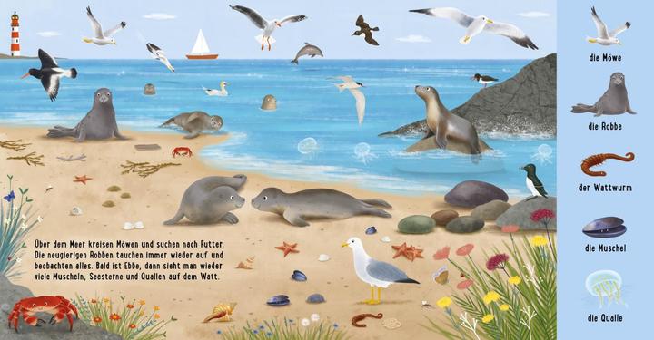 Produktbild Mein erstes Natur-Wimmelbuch: Tiere am Wasser (Deutsch, Sibylle Schumann, 2022)